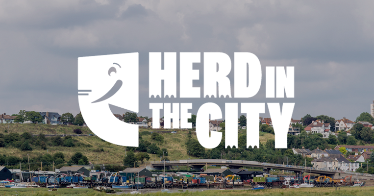Herd in The City