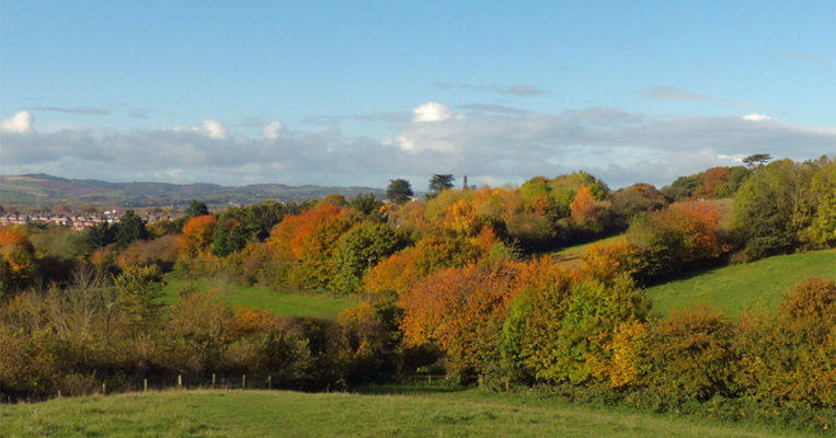 View of the countryside horizon