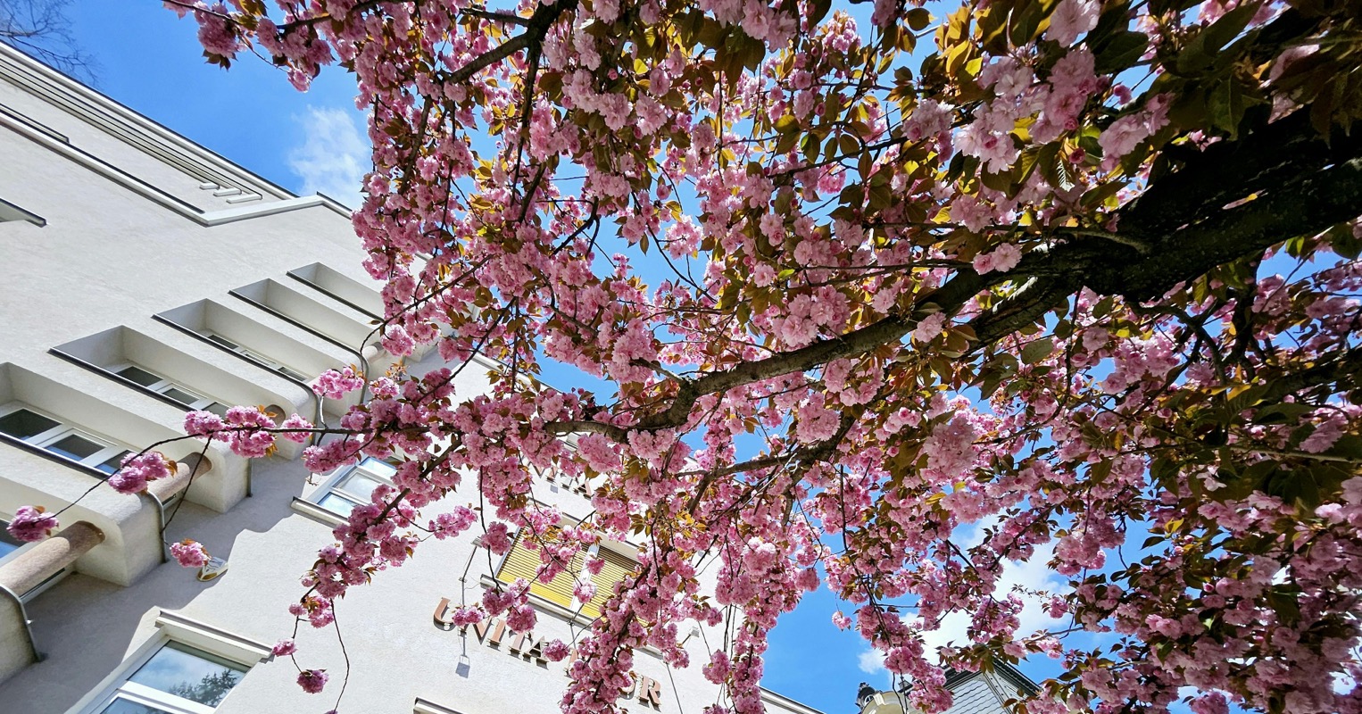 Exterior of Apartment buildng with trees